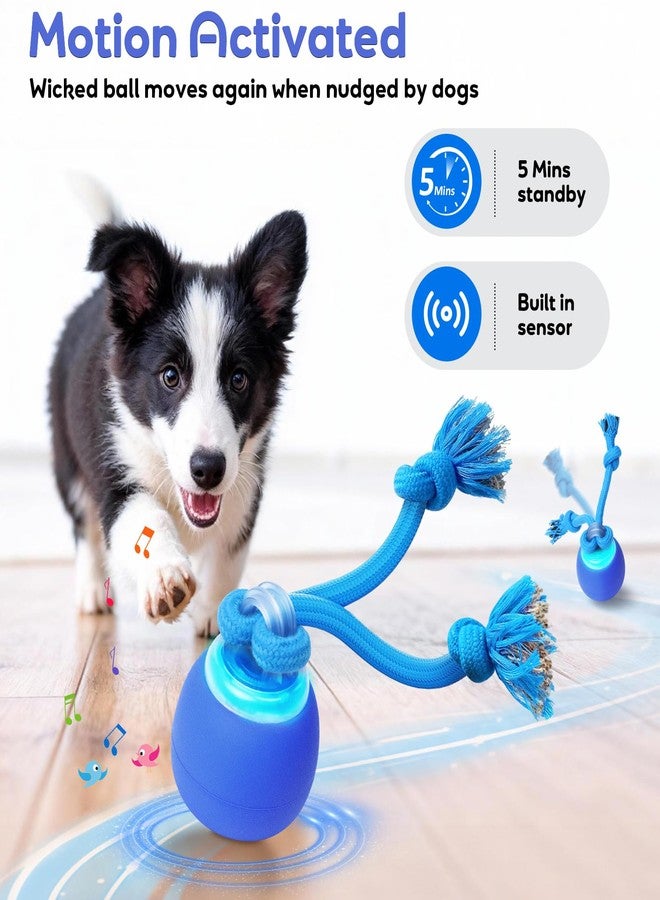 BENTOPAL Interactive Dog Toys to Keep Them Chase Busy Buddy Doggie Ball for Small Puppy(Blue) - Image 3